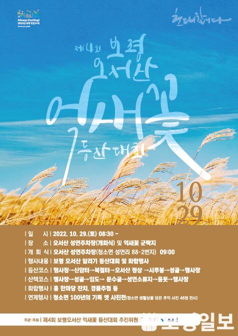 2. 제4회 보령오서산 억새꽃 등산대회 포스터.jpg