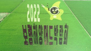 2022보령해양머드박람회 ‘유색벼 논그림’장관